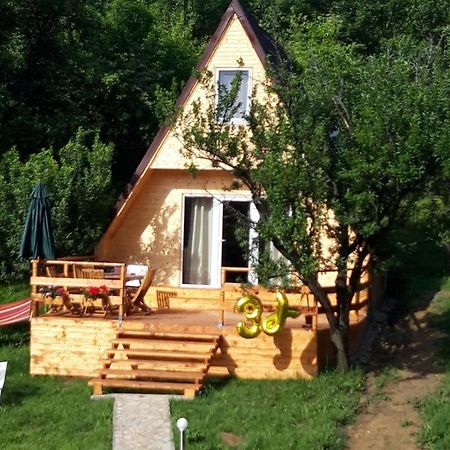 Cabana Din Livada Pucioasa المظهر الخارجي الصورة