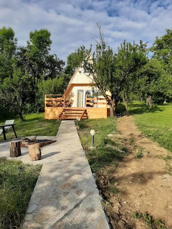 Cabana Din Livada Pucioasa المظهر الخارجي الصورة