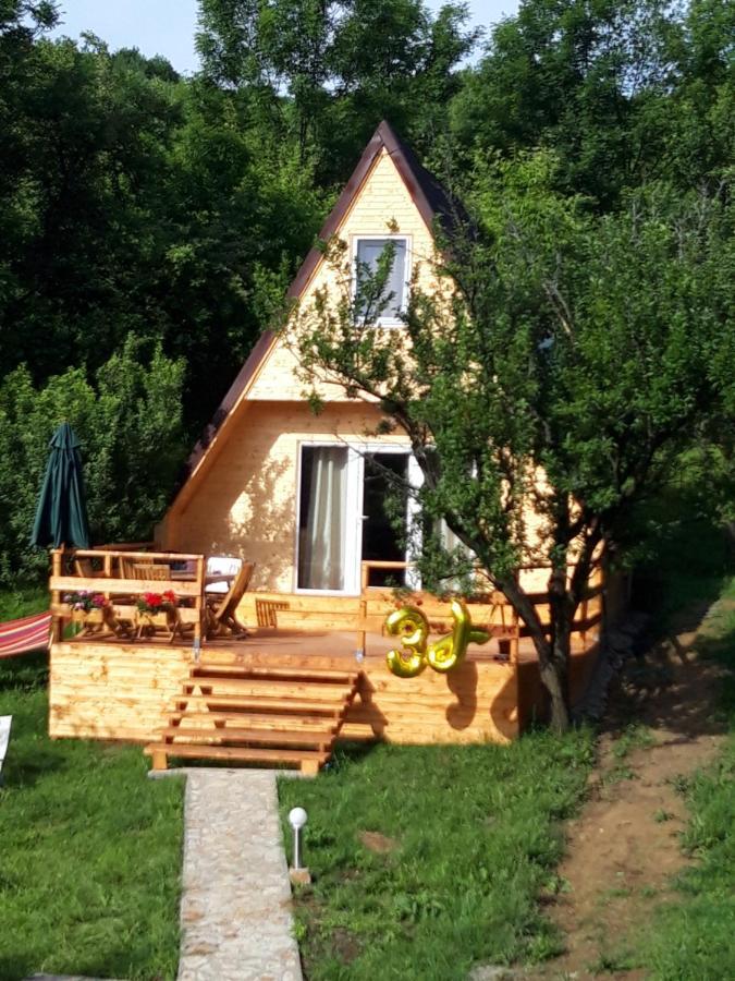 Cabana Din Livada Pucioasa المظهر الخارجي الصورة